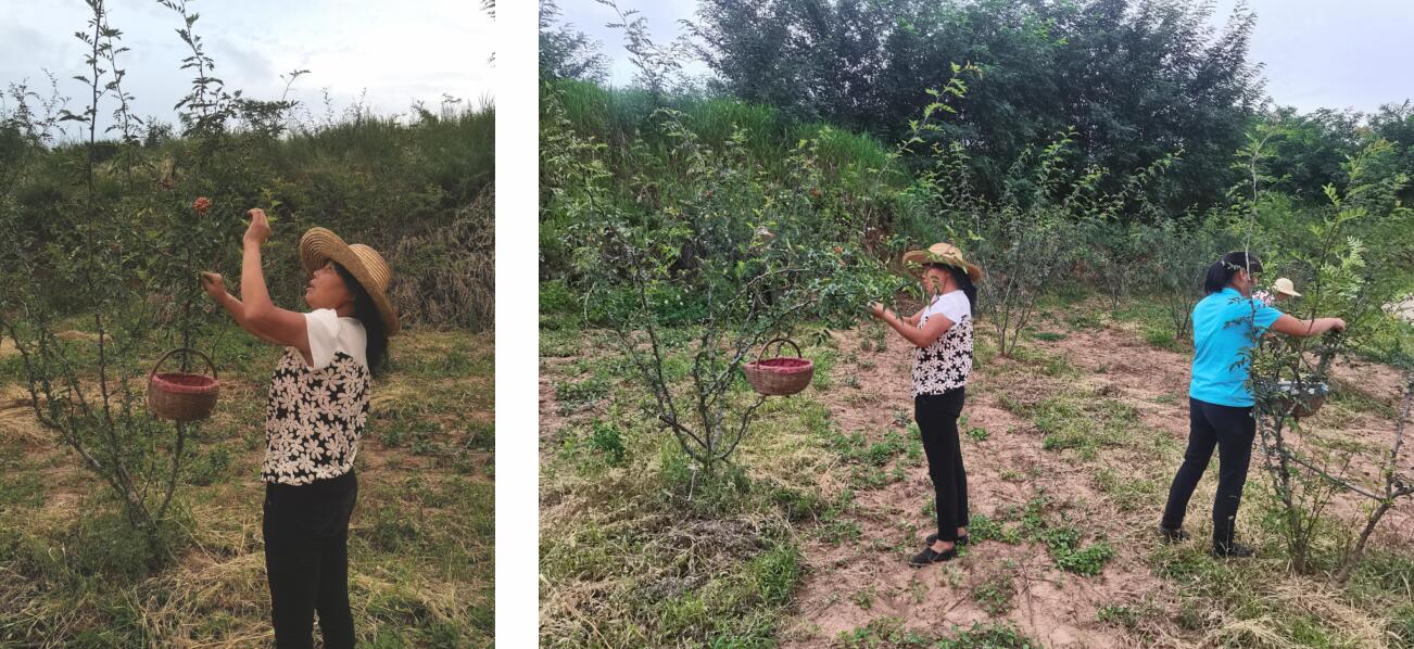 201634717724849913.jpeg 201634717724849913.jpeg