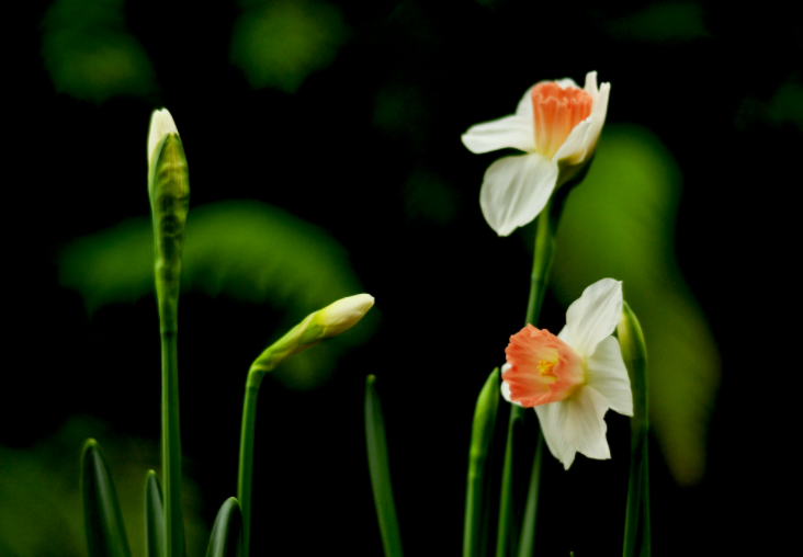 大家都做生態(tài)文明建設(shè)的實(shí)踐者、推動(dòng)者（生態(tài)論苑）