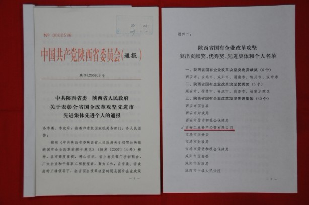 2009年2月，被陜西省委、省政府授予陜西省國有企業(yè)改革攻堅先進集體