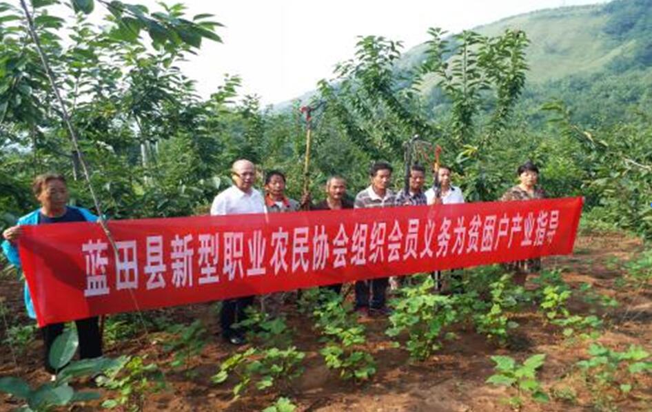 扶貧工作動態(tài)(第四十六期)