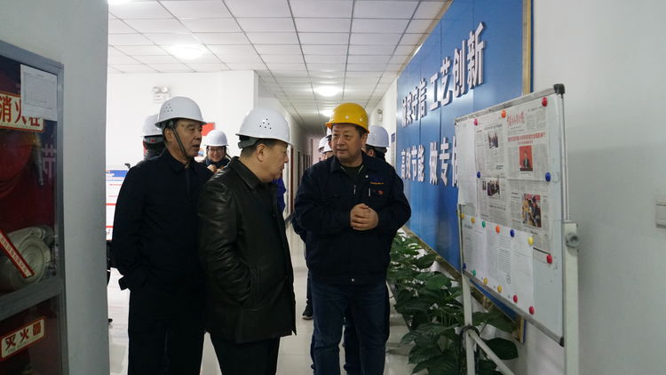集團領(lǐng)導金輝帶隊赴標準電梯、標準熱處理進行工作調(diào)研