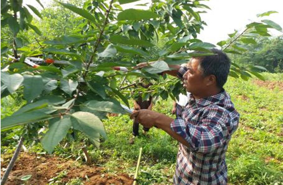 1534149019351999.jpg 1534149019351999.jpg