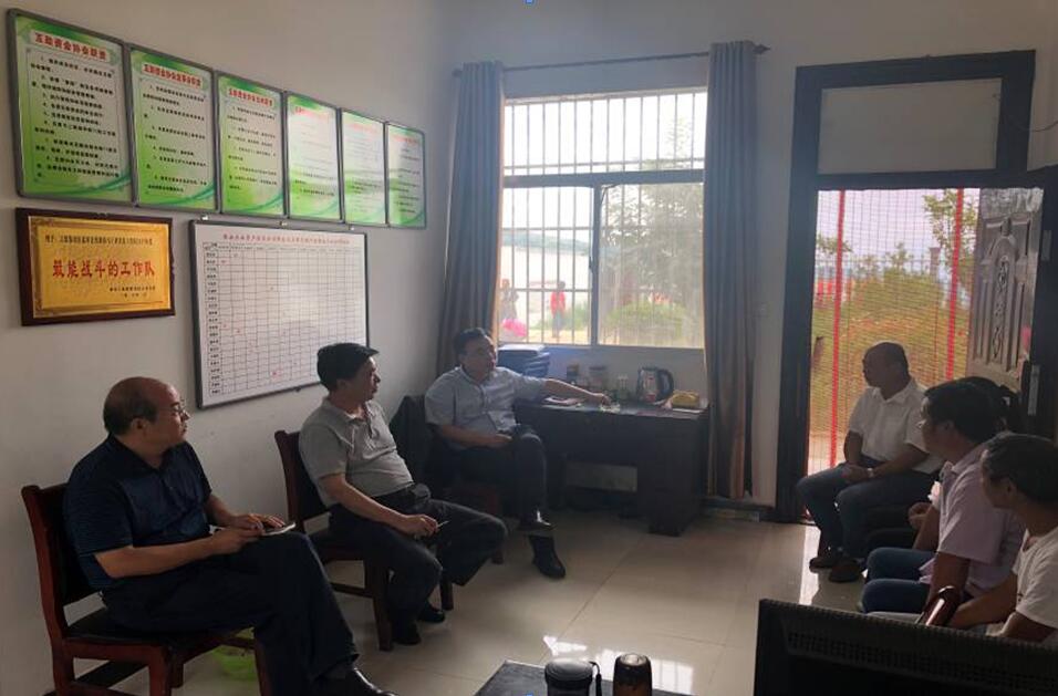 1547532603105931.jpg 4.jpg