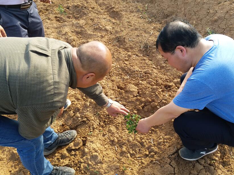 1558927303159647.jpg 1558927303159647.jpg