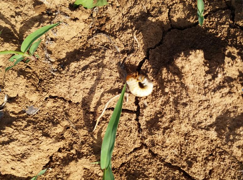 1558927314690961.jpg 1558927314690961.jpg